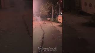 Sri Rajeshwari fireworks 5000 wala #diwali2023 #crackers #fireworks #diwali #diwali #pyro #pyro #cbe