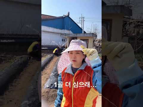 나 집에 가도되?