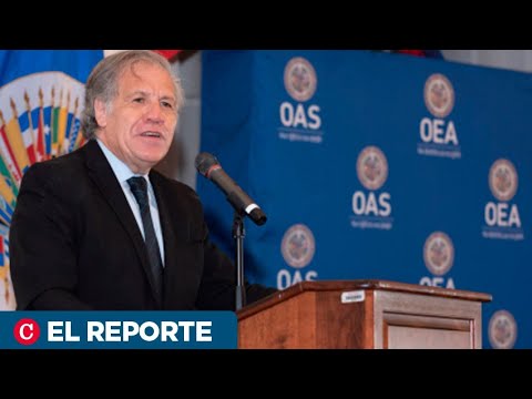 Almagro: “Reforma” de Ortega es una “aberrante institucionalización de la dictadura matrimonial”