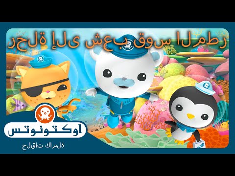 أوكتونوتس | 🌈 رحلة إلى شعب قوس المطر! 🐠 | حلقات مجمعة