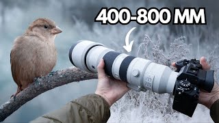 Relaxing POV Nature Photography | Birds in a Frozen Landscape