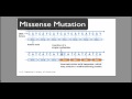 Types of Genetic Mutations