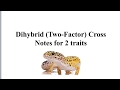 Gecko Genetics and Allele Combinations