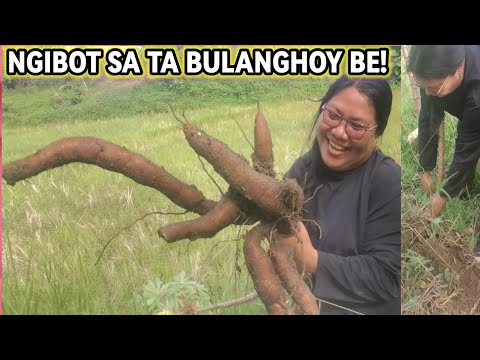 "NGIBOT SA TA!BULANGHOY BE! " Vlog 433 Buhay Probinsya Updates || Erlyn Go TV
