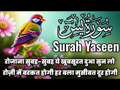 Surah Yaseen For Barkat Ki Dua🤲 सुबह सुबह दुकान मकान में चलाएं | Rozi Ki Dua 🤲Morning Wazifa |EP-093