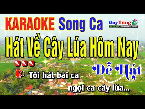 Karaoke || Hát Về Cây Lúa Hôm Nay – Song Ca || Nhạc Sống Duy Tùng