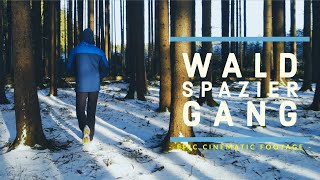 Waldspaziergang - Active Track         | 4k | 2022 | Epic | footage | dji | Allgäu
