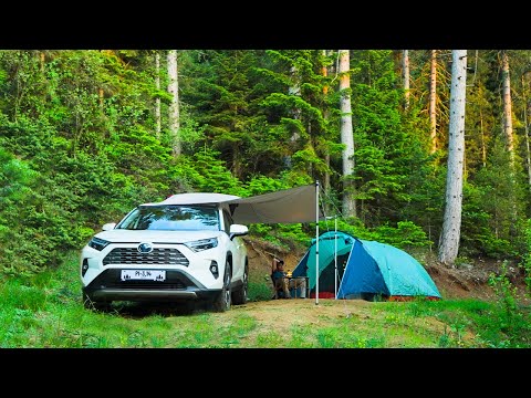 Simple Solo Camping in the Woods - @PiCamp