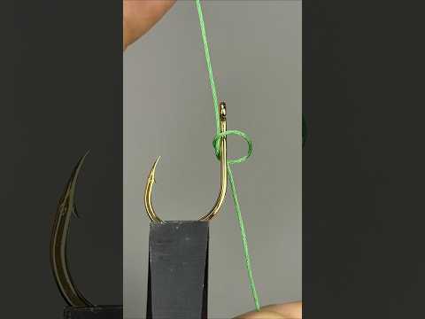 🐟最新版本钓鱼结