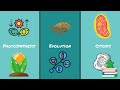 Educational Board Games and Gameplay Mechanics