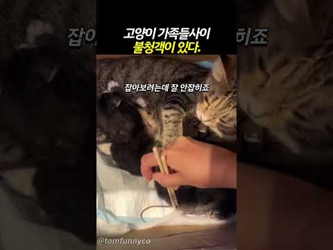 니가 왜 거기에 있냐 ㅋㅋ