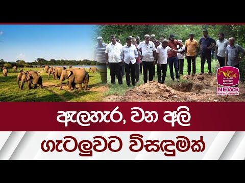 ඇලහැර වන අලි ගැටලුවට විසඳුමක් | Rupavahini News