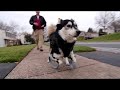 Derby's Journey and 3D Printing
