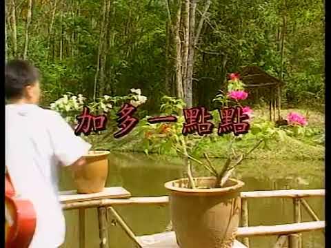 謝采妘 加多一點點 DVD 版