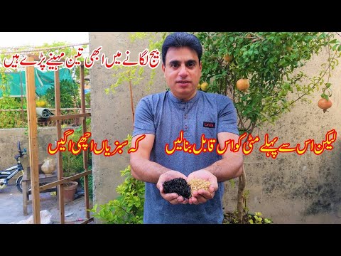 There are still three months left to plant the seeds | But first, make the soil suitable for...