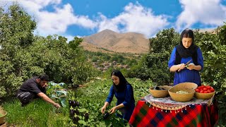 VILLAGE COOKING IN IRAN: TRADITIONAL EGGPLANT & TOMATO RECIPE | VILLAGE LIFE
