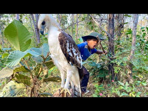 Mr. Leap is a brave young man who can play with the eagles very well. #wildlife #wedgetailedeagle