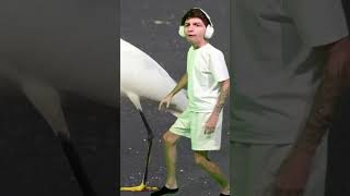 Não tem nada haver!