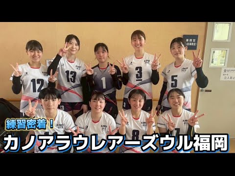 【密着取材企画】カノアラウレアーズ福岡サテライトチーム カノアウル福岡編