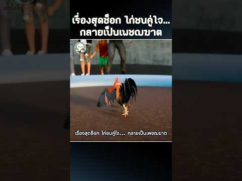 นาทีช็อก! ไก่ชนหันโจมตีเจ้าของ 🐓😱 #แปลกแต่จริง #เข้าใจในไม่กี่วินาที #shorts