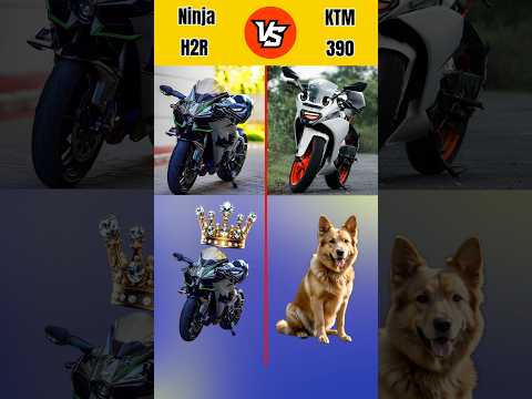 Ninja H2R VS KTM 390 |Full Comparison|#shortsfeed #ninjah2r #ktmrc390 #comparison #vs