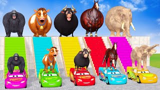 Long Slide Game With Cow Elephant Gorilla Hippopotamus Tiger - 3d Animal Game - Funny 3d Animals