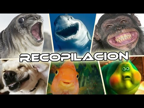 LA NATURALEZA ES BONITA (RECOPILACION) 2