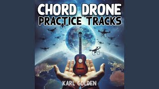 Fully-diminished 7 Chord Drone for practice (key of D)