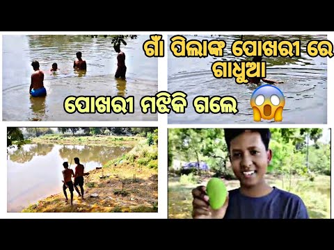 ପୋଖରୀ ରେ ଗାଧେଇଲୁ 😎😎😎😎⭐😎⭐