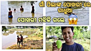 ପୋଖରୀ ରେ ଗାଧେଇଲୁ 😎😎😎😎⭐😎⭐