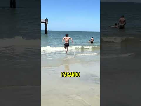 Quería atención, y la tuvo… pero por la razón equivocada 😂👀 #shorts #shortsvideo