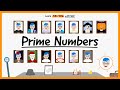 Exploring the World of Prime Numbers