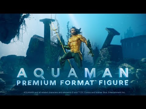 Premium Format Figure - An Inside Look