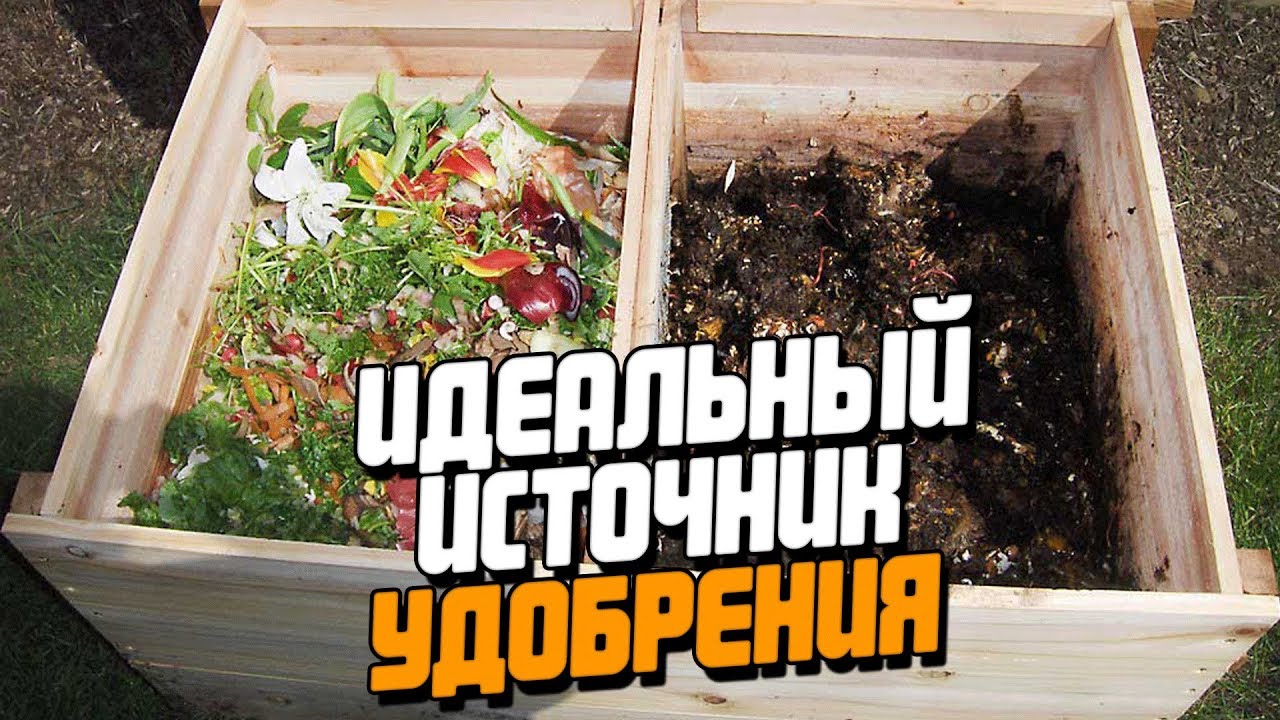 ИДЕАЛЬНЫЙ ИСТОЧНИК УДОБРЕНИЯ - КОМПОСТНАЯ ЯМА