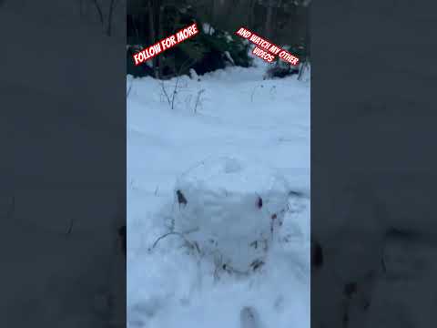 Firecracker in the snow #firekracker #fireworks #dumbum #snow #cold #ice #viral #snowman #christmas
