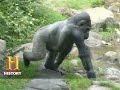 Future of Earth and Animal Kingdom