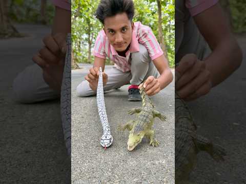 Mera Duita Remote wala Crocodile🐊and snake 🐍 unboxing