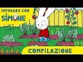 Domande di cultura generale