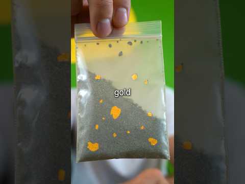 I Found $1000 of Gold?