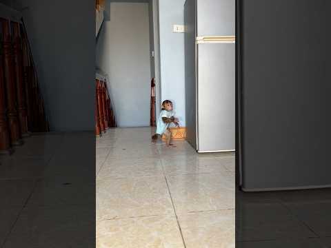 #cute #cutepets #monkey #cutemonkey #babymonkey #monkeydluffy #trendingshorts #animals #relax #baby