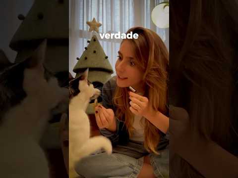 Fui humilhada pela minha gata 😫 #gato #familia #natal #diy #arvoredenatal