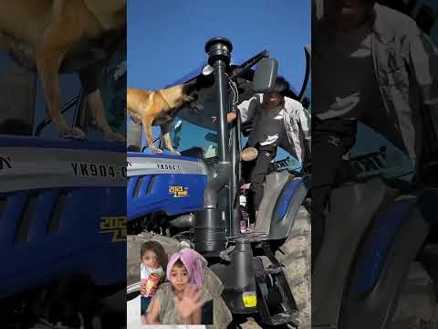 Pro Dog #dog #automobile #funny #vlog #animals #youtube #youtubeshorts #story #moralstories #viral
