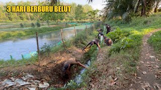 21Kg BELUT TEREKSEKUSI DALAM SEHARI BIKIN PENASARAN