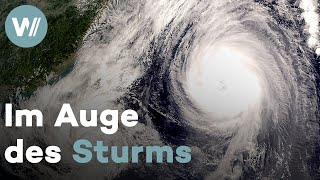 Der Weg des Taifuns - Wie können die tropischen Wirbelstürme besser vorhergesagt werden?