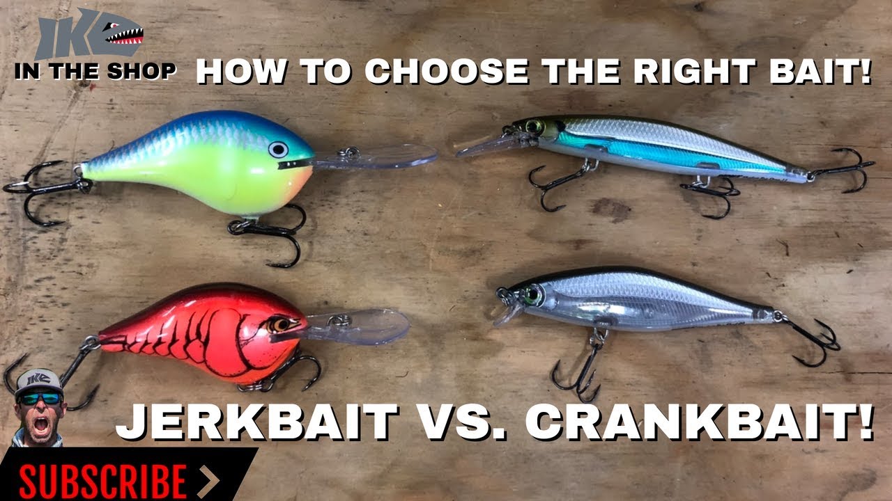 Jerkbait Vs Crankbait How to CHOOSE the RIGHT BAIT! Bass Fishing Video