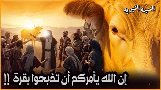 إن الله يأمركم أن تذبحوا بقرة! | البقرة التي أحيت ميتًا! قصة بقرة بني إسرائيل .. قصص القران