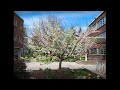 The Tree of 40 Fruit and Its Cultural Significance