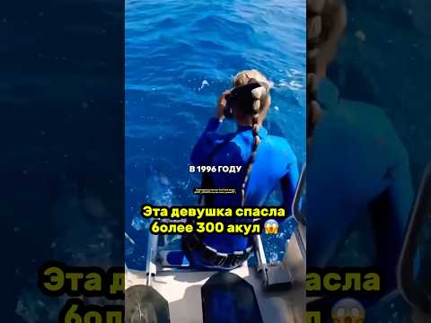 Эта девушка спасла более 300 акул😱 #спорт #животные #океан #отдых #красота #жизнь #саморазвитие