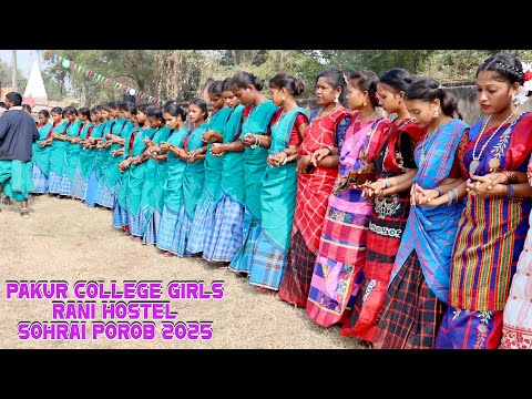 Pakur College Girls, Rani Hostel Sohrai Porob | New Santali Sohrai Video 2025