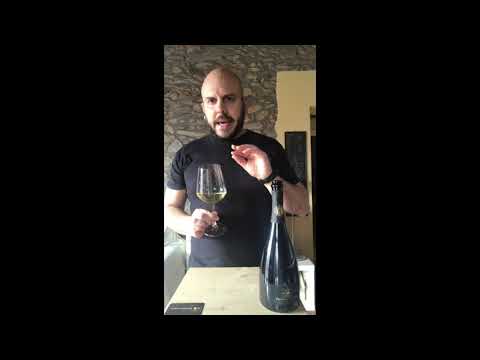 simonevergamini_wine